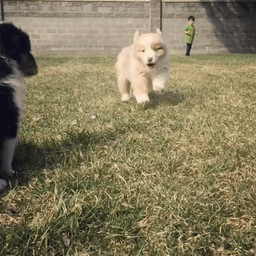 It's Almost The Weekend!