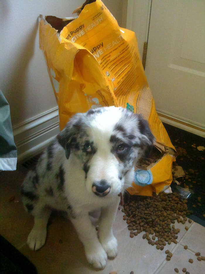 Caught With Her Hand In The Cookie Jar