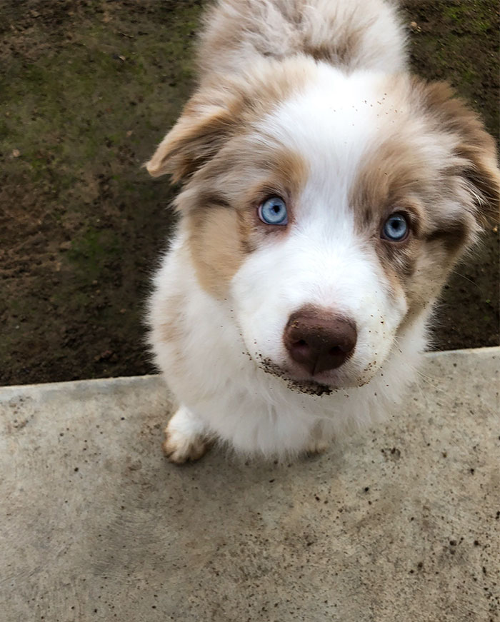 No Mom. I Absolutely Have Not Been Digging