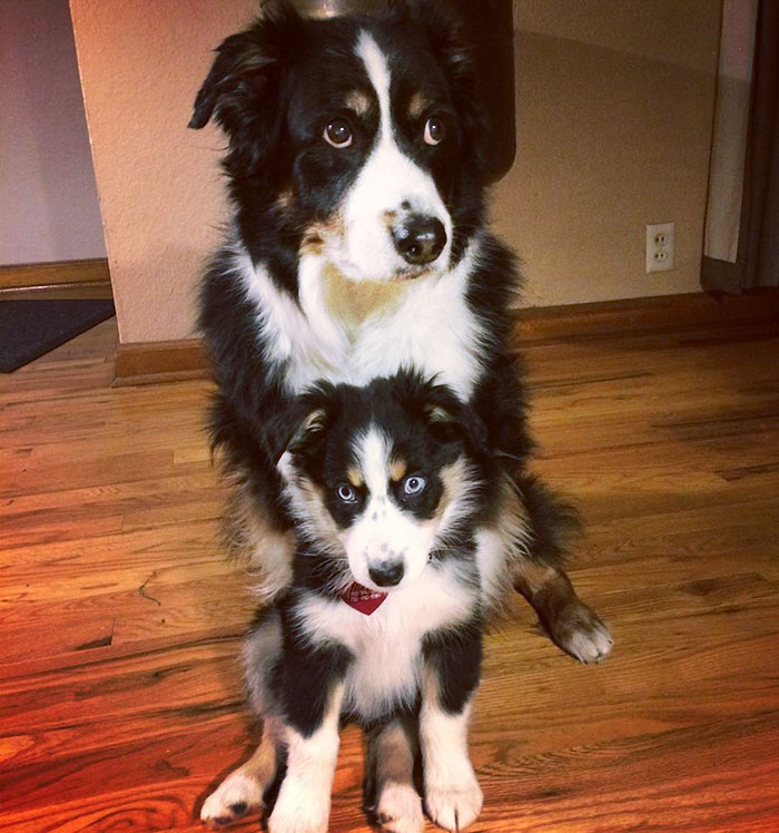 Effie Wants To Be Exactly Wherever Her Big Sister Is