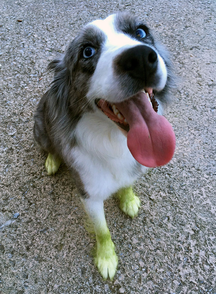 She Likes To Help Me Mow The Yard