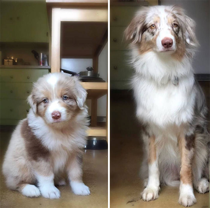 They Grow Up So Fast