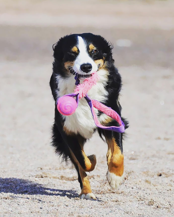 It’s Amazing How One Day Someone Walks Into Your Life And You Can’t Remember How You Ever Lived Without Them