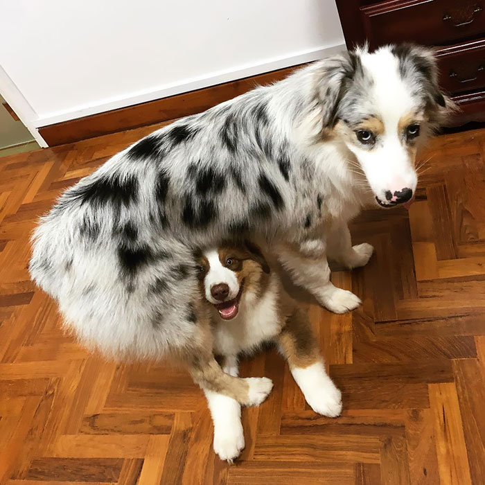 Survived The First Night Together