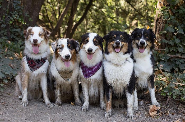 We Had Quite The Adventure Today After Taking The Wrong Trail Twice