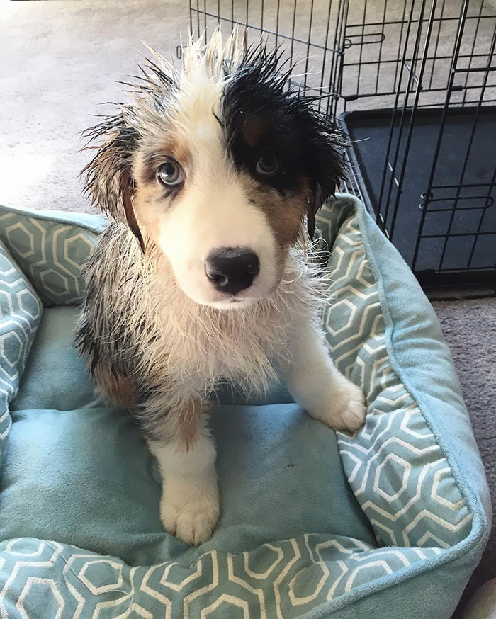 Diggin The New Do, What Do Y'all Think?