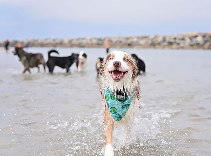 Smile Because We're Halfway Through The Week