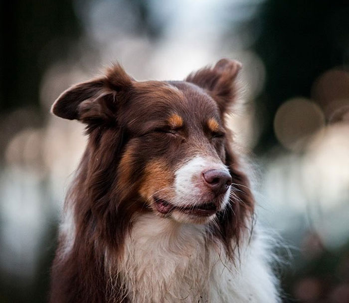 Today Is Freaky-Friday Again