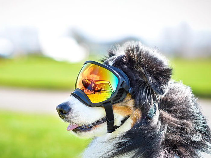 Give His Goggles A Quick Zoom