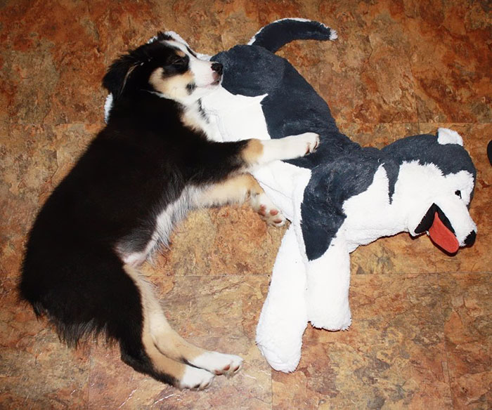 "Hard To Believe I Was Ever This Small"