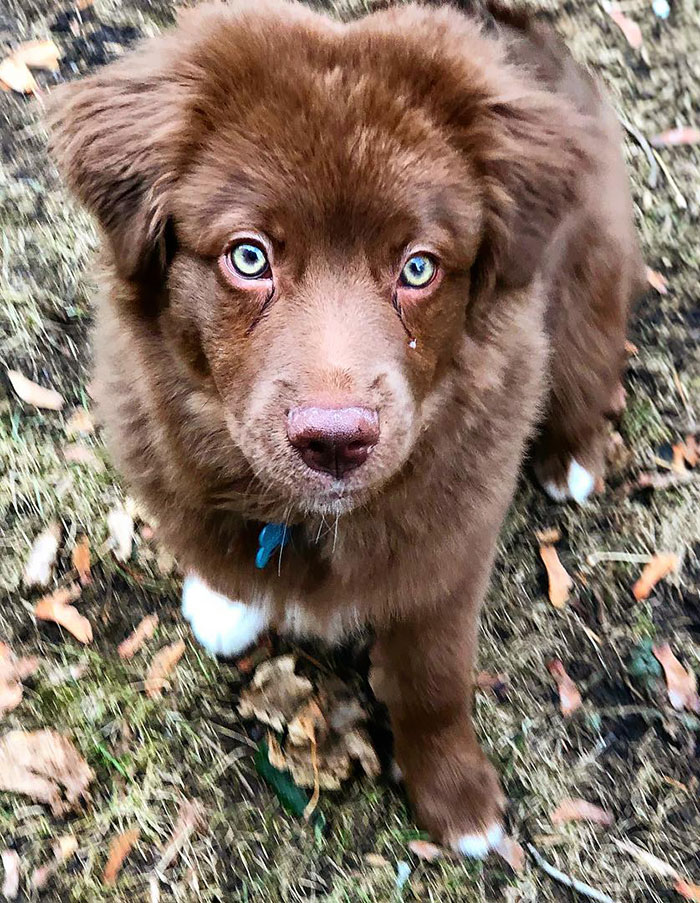 "I Like To Bite My Mommy But Then I Give Her This Look"