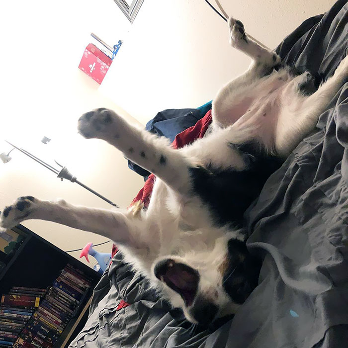 We May Be Sleepy But We’re Ready To Take On The Day