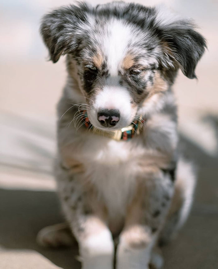 I Get Moody Sometimes