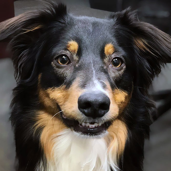 When You Got A Really Goofy Smile, But U Still Cute