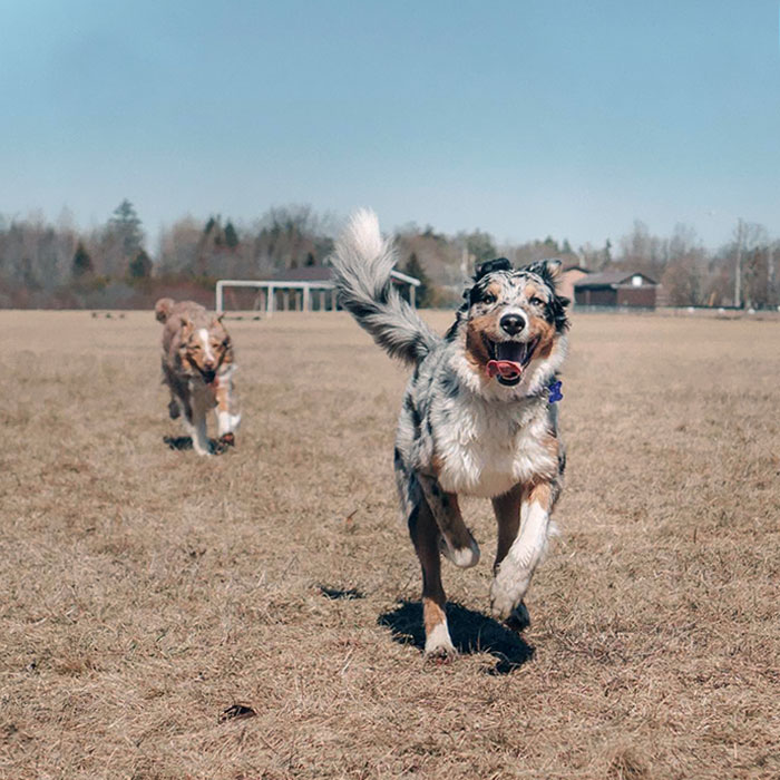 Can I Give You My Jersey? It Has My Name And Number