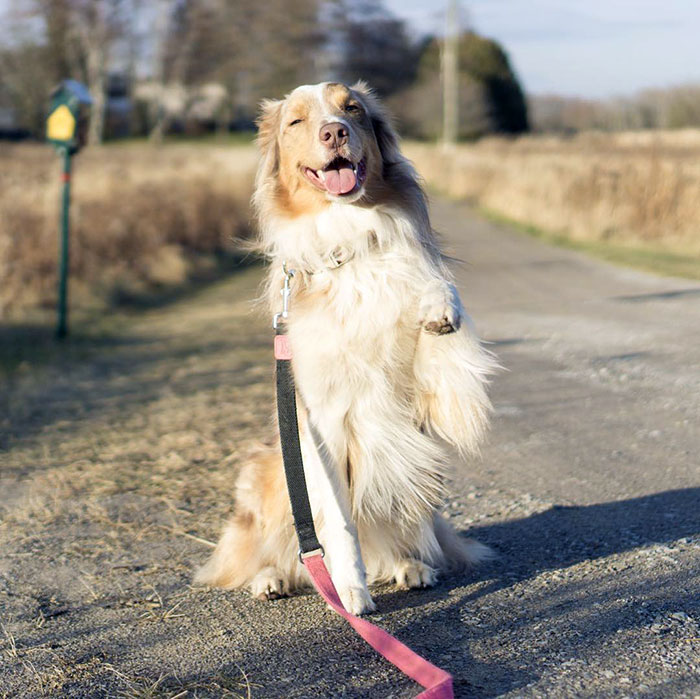 Like A Shoebox Of Photographs With Sepia-Toned Loving