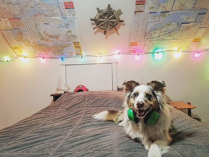 I'm Just A Weirdo. Isn't It Clear Though I’m On My Own Planet And Damn It. Don't Care If You Don't Understand It