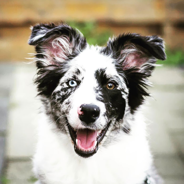 I Love To Smile, It Makes My Family Happy And Hug Me When I Do