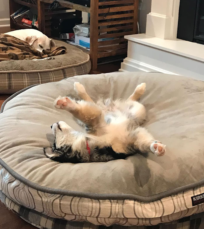 Wake Me When It’s 70° Again