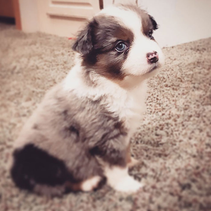 If You Needed Another Reason To Love Me, Here You Go