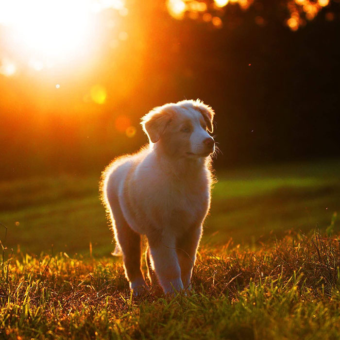 Let Time Stop, You Grow Up Too Fast