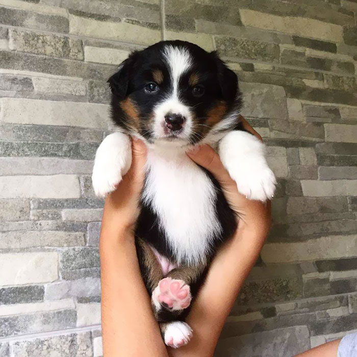 My First Birthday - 1 Month Old