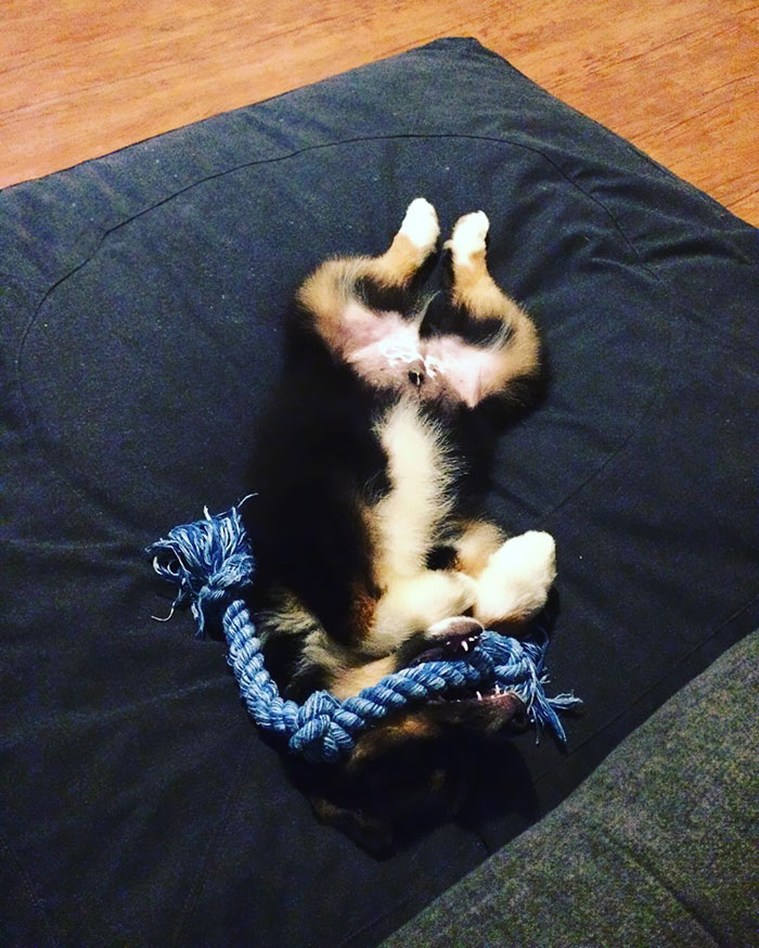 I Fell Asleep With My Rope In My Mouth