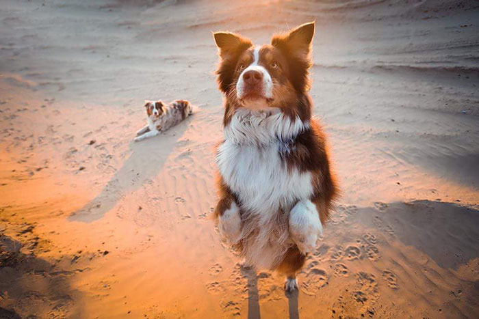 This Photo Was Taken Yesterday In The Evening Sun