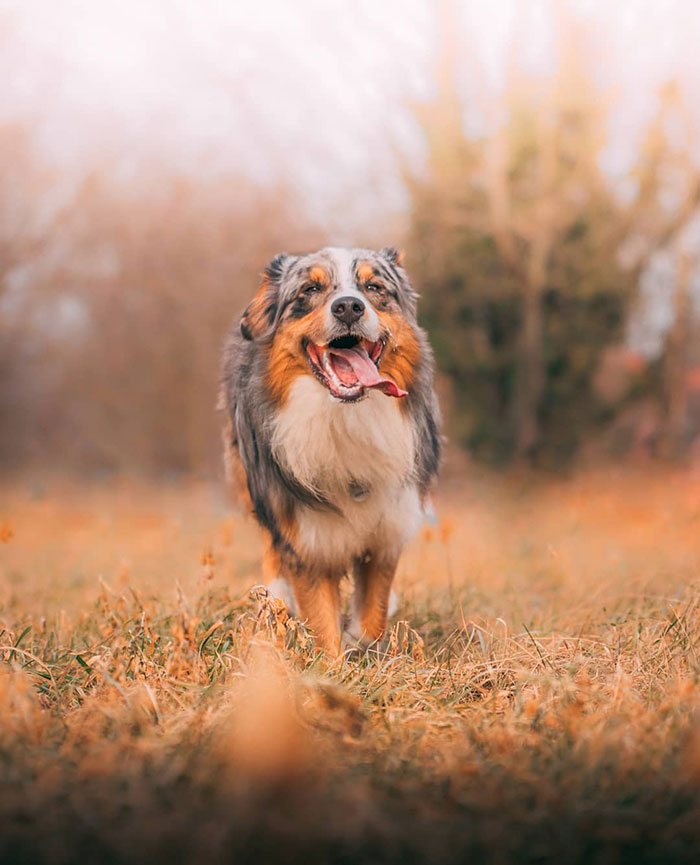 Happy Tongue Out Tuesday
