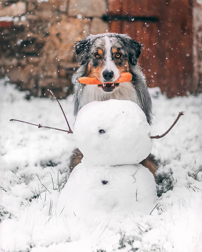 What? No. I Haven't Seen A Snowman