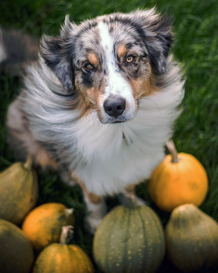 How Did You Trick People Or How Did You Get Tricked?