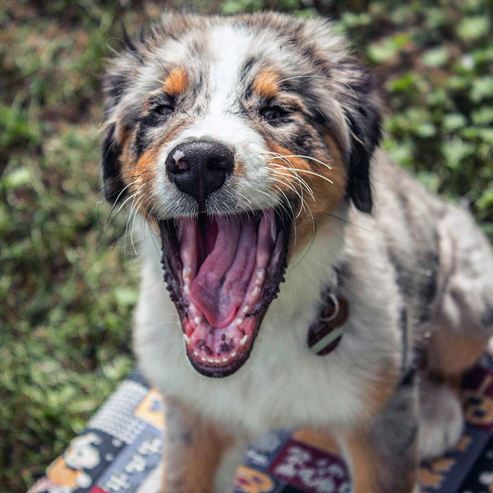 It's Monday? Again? We Had That Last Week Already! Isn't That Enough?