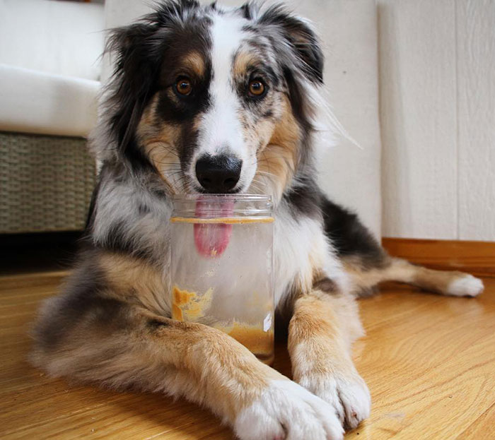 Gotta Stay Busy Somehow When It's Raining Outside