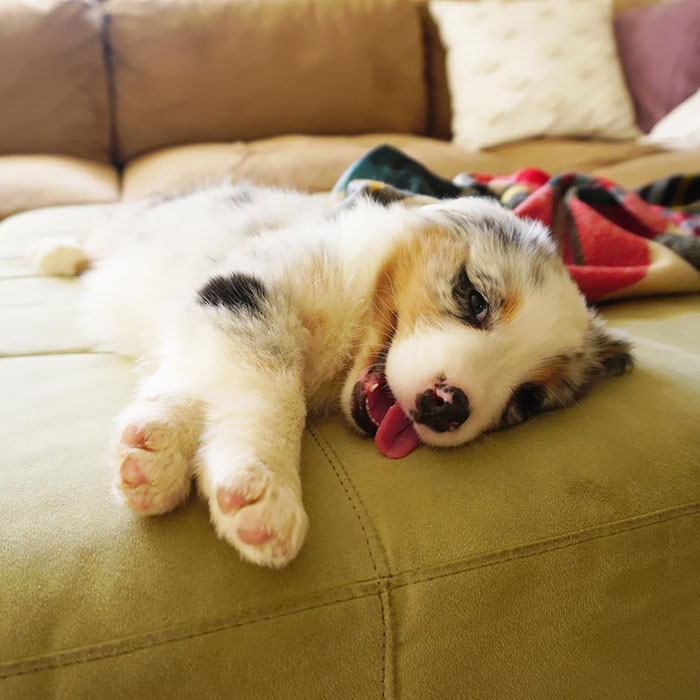 Yeah, You Know You’re Cute