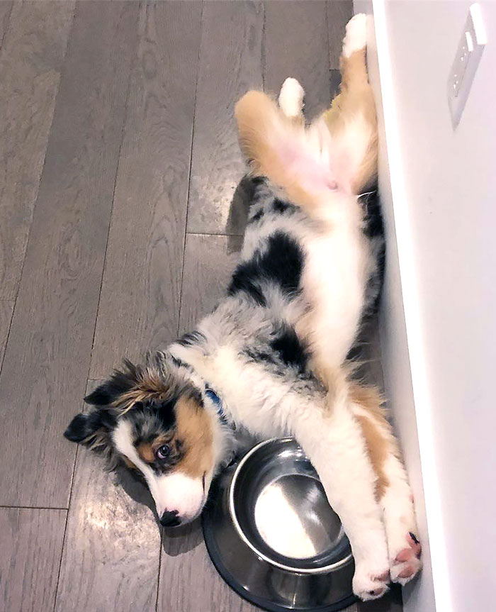 Things Get Weird On A Monday