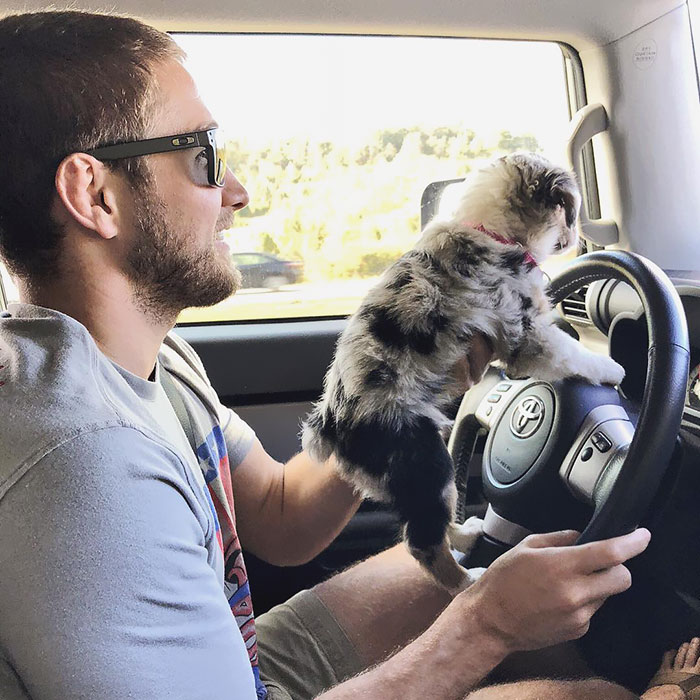 Woohoo! Road Trip With Mom And Dad And He’s Letting Me Drive