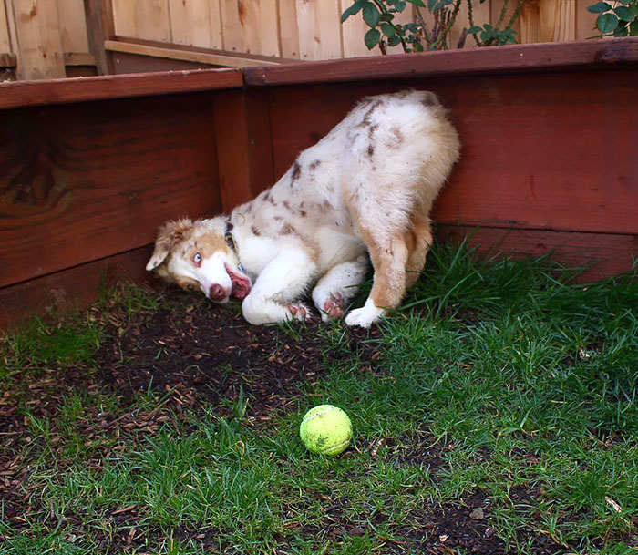 Just Trying To Cover Myself In Dirt Before My Bath