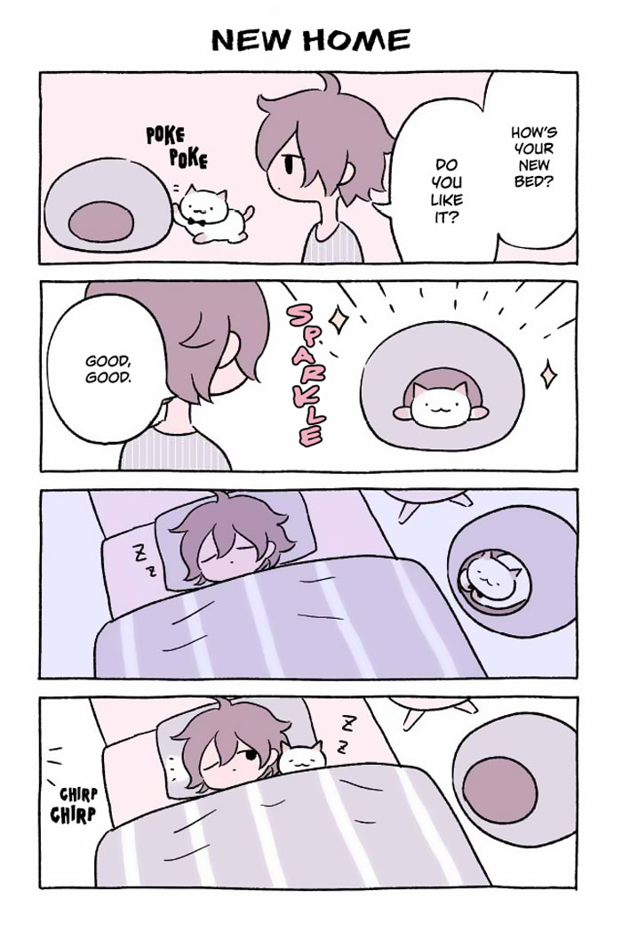 Japanese Illustrator Creates The Most Adorable Cat Comics Ever, And It Will Make Your Day