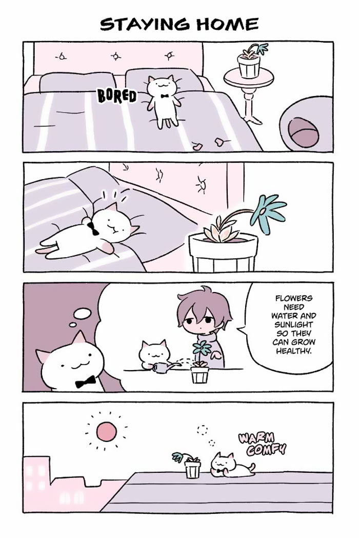 Japanese Illustrator Creates The Most Adorable Cat Comics Ever, And It Will Make Your Day Japanese Illustrator Creates The Most Adorable Cat Comics Ever, And It Will Make Your Day