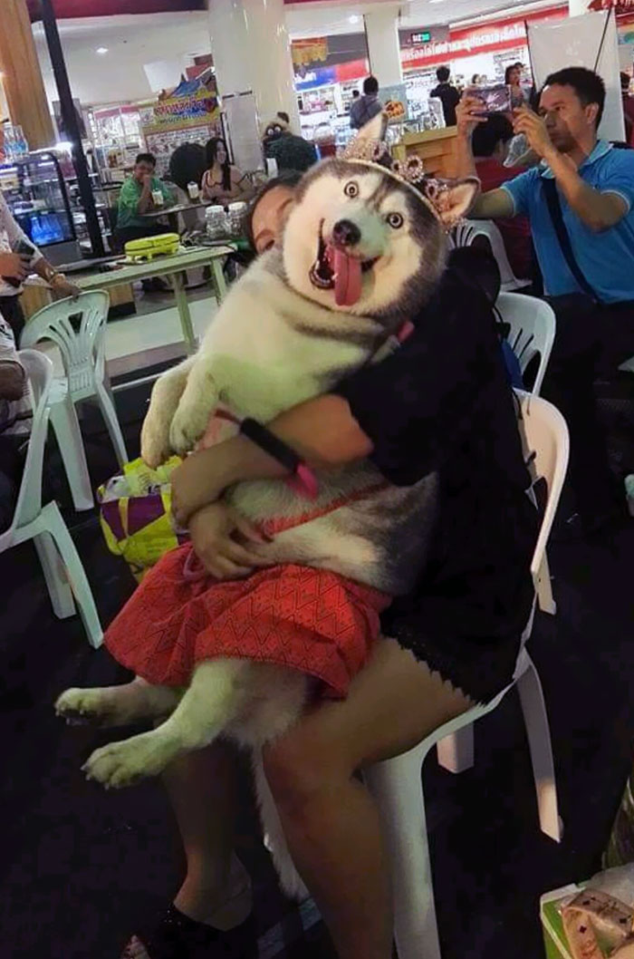 Stop What You're Doing And Look At This Princess Moon Moon