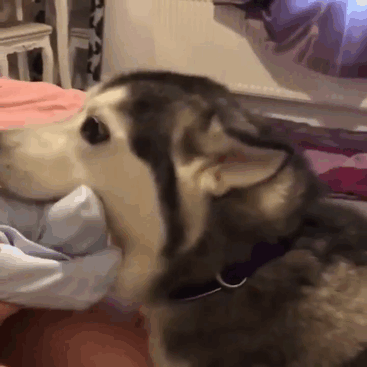 She's In Love With The New Tiny Human