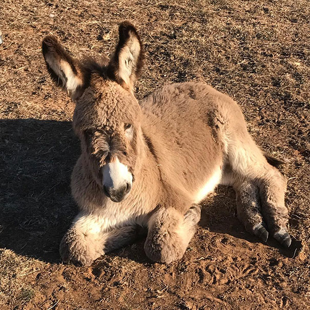 Precious Baby Lily Has Friends And Admirers Coming To Visit