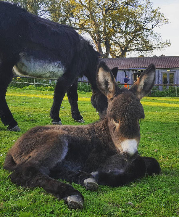 Poppy Is 1-Week-Old This Weekend