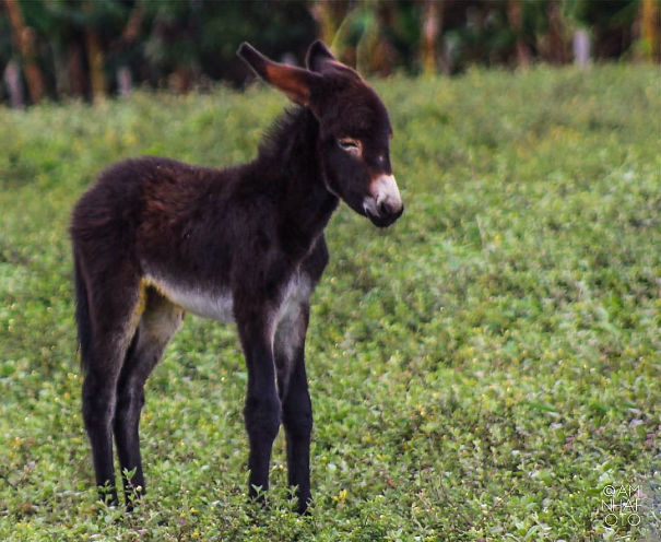 Eyes Closed, Feelin' The Breeze