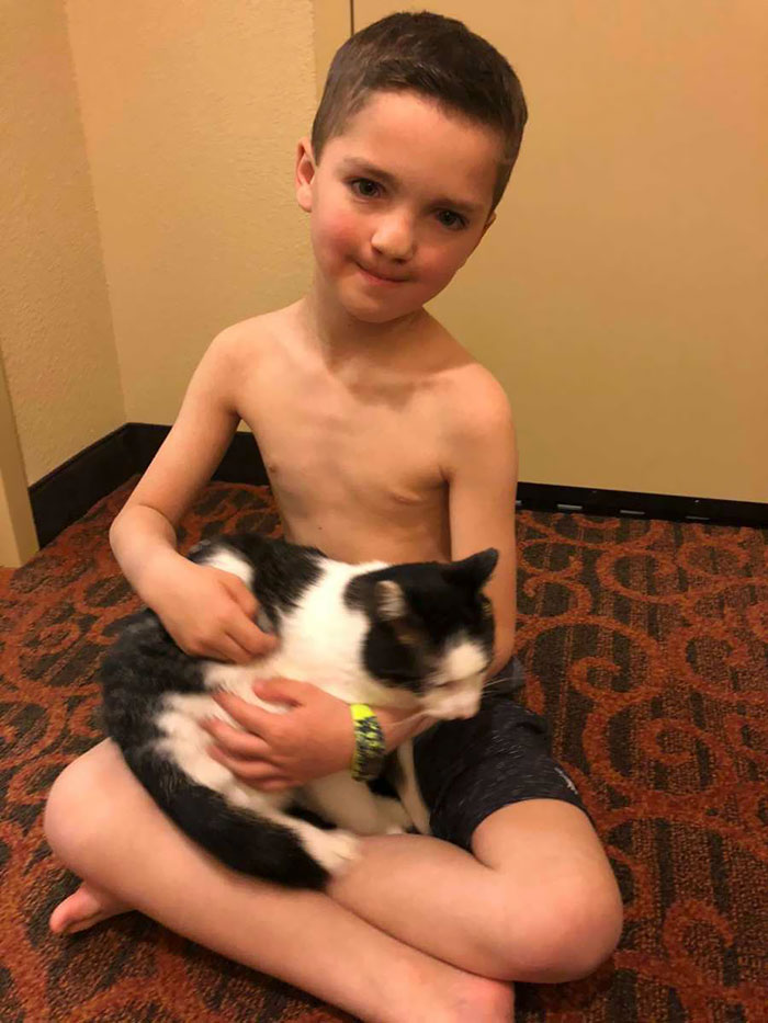 Bullied 7 Year-Old Finds Cat With Same Rare Eye Condition And Cleft Lip, And It's Like Destiny Exists