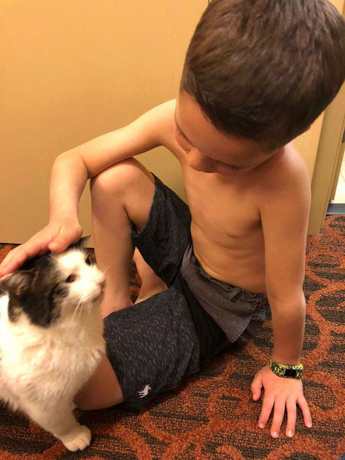 Bullied 7 Year-Old Finds Cat With Same Rare Eye Condition And Cleft Lip, And It's Like Destiny Exists