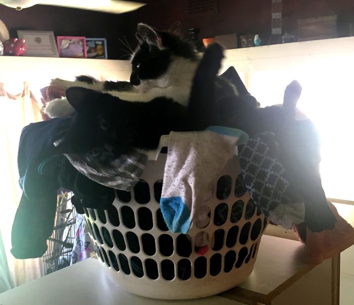 Oh... You're Home Early....