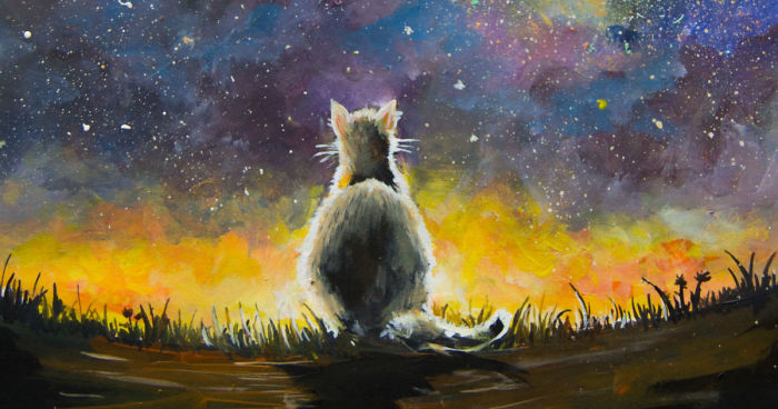 I Painted A Lonely Cat For My Son