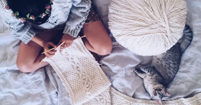 How To Get A Cat To Pose In Front Of The Camera: Start Knitting