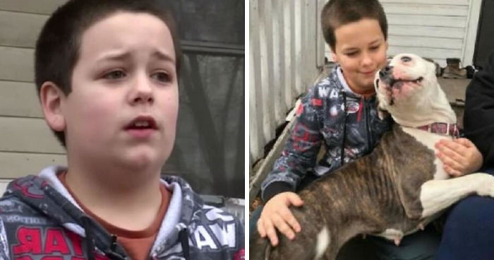 Thief Makes A Huge Mistake Breaking Into Home Where 9-Year-Old Boy Lives